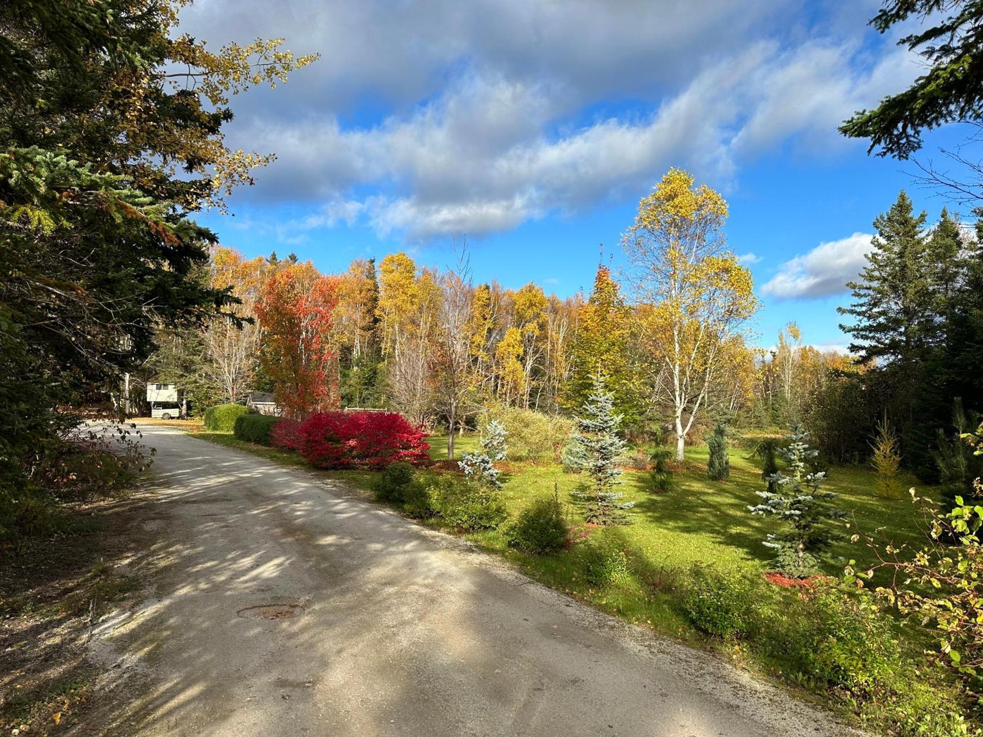 Eden Estate B&B Reidville Eksteriør billede